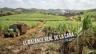 The Real Balance of the Sugar Cane Industry Under Gustavo Petro's Government 🚜🍬 - TvAgro by Juan ...