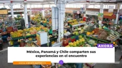 Bogotá reúne experiencias internacionales en el Primer Encuentro de Plazas de Mercado | Comunidades