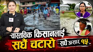 वास्तविक किसानलाई सधै चटारो सधै असार १५ || Mountain Bishesh |