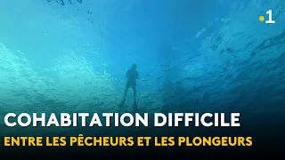 Punaauia: The Difficult Coexistence of Fishermen and Divers