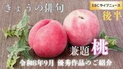 September 23–29, 2026: Today's Haiku - Peach (Part 2)