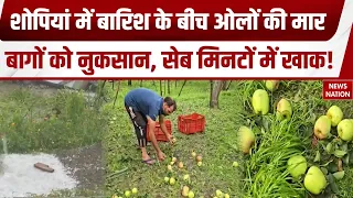 Shopian Hailstorm: शोपियां-कुलगाम में ओलावृष्टि से Apple की फसल बर्बाद, किसानों को करोड़ों का नुकसान