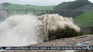 Agricultural damage, Region asks Ministry for 30 million due to bad weather