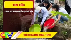 CA MAU NEWS NOON 10/11/2026 | JOIN HANDS TO REGENERATE AQUATIC RESOURCES
