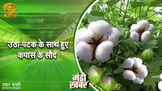 Mandi Khabar | Volatile Cotton Trading, Check Out the Latest Market Prices | DD Kisan