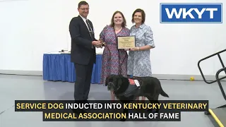 Service dog inducted into Kentucky Veterinary Medical Association Hall of Fame