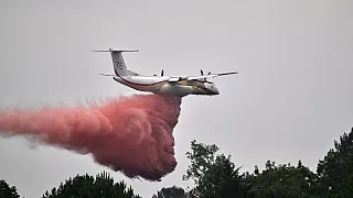 L'Union européenne au défi des incendies de forêt de plus en plus violents