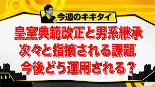 [Atsushi Tamura’s Kikitai!] Revision of the Imperial House Law and Male-Line Succession: Pointed ...