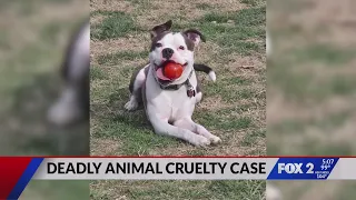 Owner warns others after dog goes missing in trainers’ care