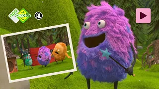 DINGEN MET POOTJES | Kiwi & Strit | NPO Zappelin