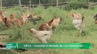 DR14 – Investments in small-scale farms 09/03/2026