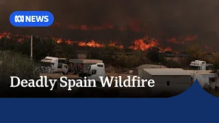Tourists among several killed in 'terrifying' wildfire in southern Spain | ABC NEWS