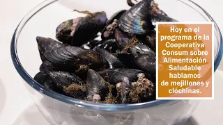 CONSUM – Healthy Eating | Mussels and Mediterranean mussels