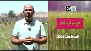 خير لبلاد : الأحد 16 غشت 2026