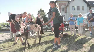 Ott vagyunk már? Igen, Foki megérkezett Keszthelyre!