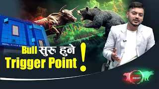 बुधवार शेयर बजार : कुन कुन कम्पनी उकालो लाग्यो ?- NEWS24 TV