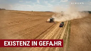 High costs, shrinking yields: Farmers fighting for survival