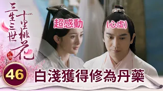 折顏受夜華請託扛下煉丹之名 白淺感動不已欲行大禮道謝【三生三世十里桃花】精華 EP46-4 楊冪、趙又廷、迪麗熱巴、高偉光、張智堯 @ctvdrama_classic