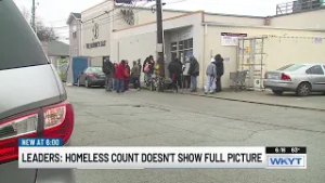Homeless count numbers may not reflect full picture, experts say