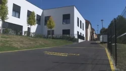 3336 VTV Magazin - 6. 10. 2026