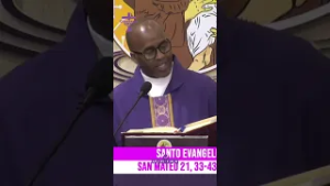 #EvangelioDeHoy | Mateo 21,33-43.45-46. Este es el heredero: venid, lo matamos