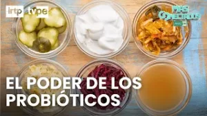 Salud intestinal: el rol clave de los probióticos | “Más conectados”