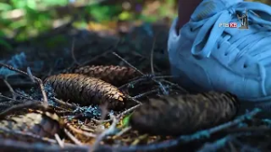 Prilog   RTVKV   Goč dobija vidikovac i novo lice turizma