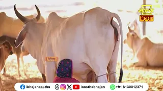 गौ माता के आश्रय में जानें से क्या होगा ?। Shri Rajendradasdevacharya Ji Maharaj | Aastha Bhajan