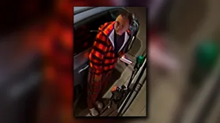 Haldimand OPP search for missing man possibly in Cayuga, Ont.