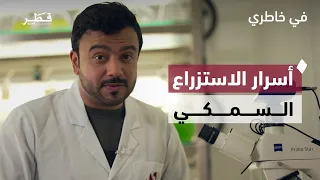 From Egg to Sea: The Journey of Fish Farming and Stock Enhancement in Qatar | Fi Khatri