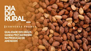 Grain quality takes center stage in peanut production