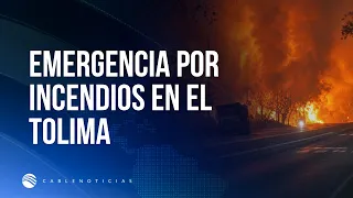 Forest fire emergency in Tolima leaves nearly 20,000 hectares consumed