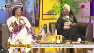 Emmanuel Bassène : pour la collaboration entre médecine traditionnelle et moderne