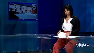 TG Molise delle ore 14.00 del 25/07/2026
