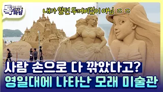 영일대 백사장에 나타난 거대 모래 미술관 🏖️ 지금 당장 포항으로 달려가야 하는 이유 🏃‍♂️