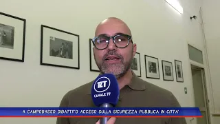 TLT NEWS EDIZIONE SERALE DEL 08-07-26