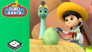 The Cold Lockdown | Dino Ranch | Boomerang Italia