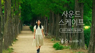 새소리와 제일 잘 어울리는 노래 최유리의 숲 🌿 | 이이주 ver [#사운드스케이프 4K]