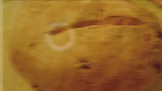 Agrárinfó