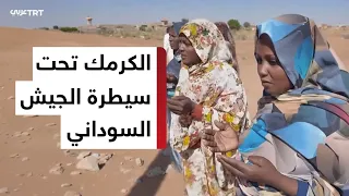 After 106 Days of Fighting.. Sudanese Army Retakes Kurmuk from Rapid Support Forces