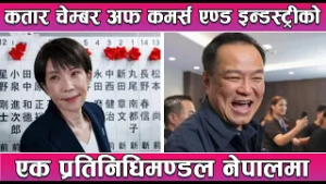 जापान र थाइल्याण्डमा चुनावबाट राजनीतिक दिशा परिवर्तन || News Report