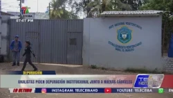 Analysts call for institutional purging alongside new prisons