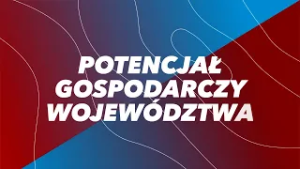 Potencjał Gospodarczy Województwa ? 20.02.2026 nr 1