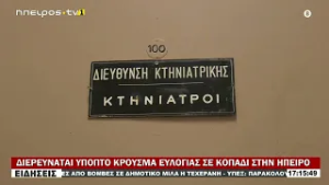 ΔΙΕΡΕΥΝΑΤΑΙ ΥΠΟΠΤΟ ΚΡΟΥΣΜΑ ΕΥΛΟΓΙΑΣ ΣΕ ΚΟΠΑΔΙ ΣΤΗΝ ΗΠΕΙΡΟ