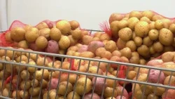 City’s Backyard Harvest Program Encourages Abundance and Community | October 18, 2026