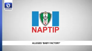 Alleged 'Baby Factory’: NAPTIP Secures Historic Conviction In Lagos After 11-Year Trial
