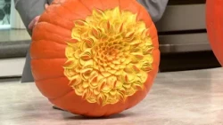 'Glow at the Gardens': A luminous fall celebration at Denver Botanic Gardens