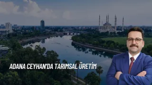 CEYHAN'DA TARIMSAL ÜRETİM I TARIMDA BAŞARI