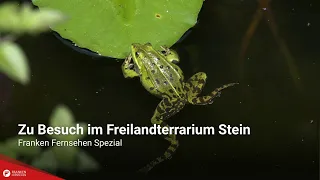 Franken Fernsehen Special: A Visit to the Stein Open-Air Terrarium