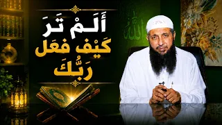 أَلَمْ تَرَ كَيْفَ فَعَلَ رَبُّكَ | عم يتساءلون | الدكتور عبدالرحمن الصاوي |ح123